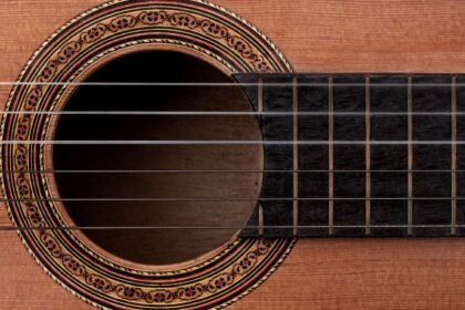 Rosewood vs Ebony Fretboard: Which One Should You Choose?