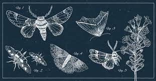 G360vn: The Ultimate Guide to Vietnam’s Growing Gaming Platform